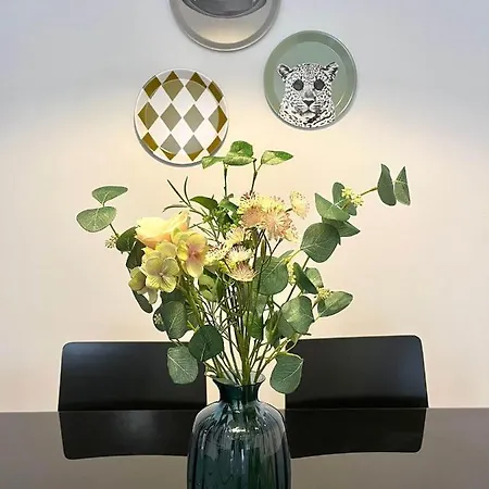 Olivico Con Parking Apartment Vigo